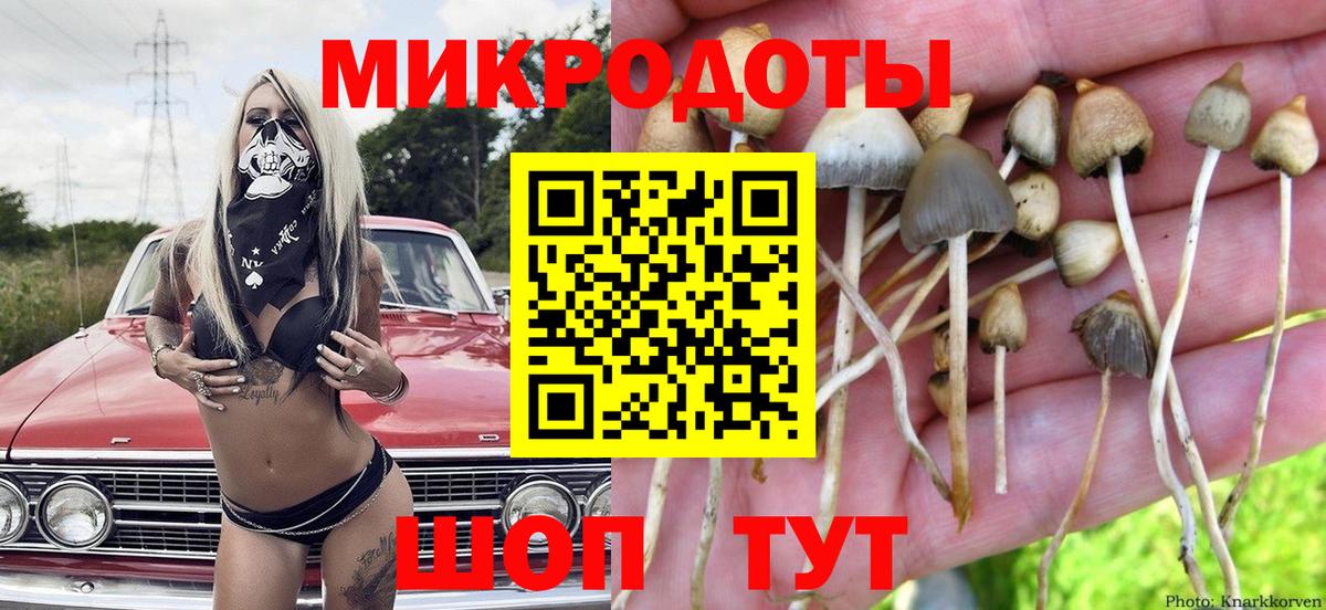 Псилоцибиновые грибы GOLDEN TEACHER  Галлюциногенные грибы MAGIC MUSHROOMS  Вход с VPN  Орск 
